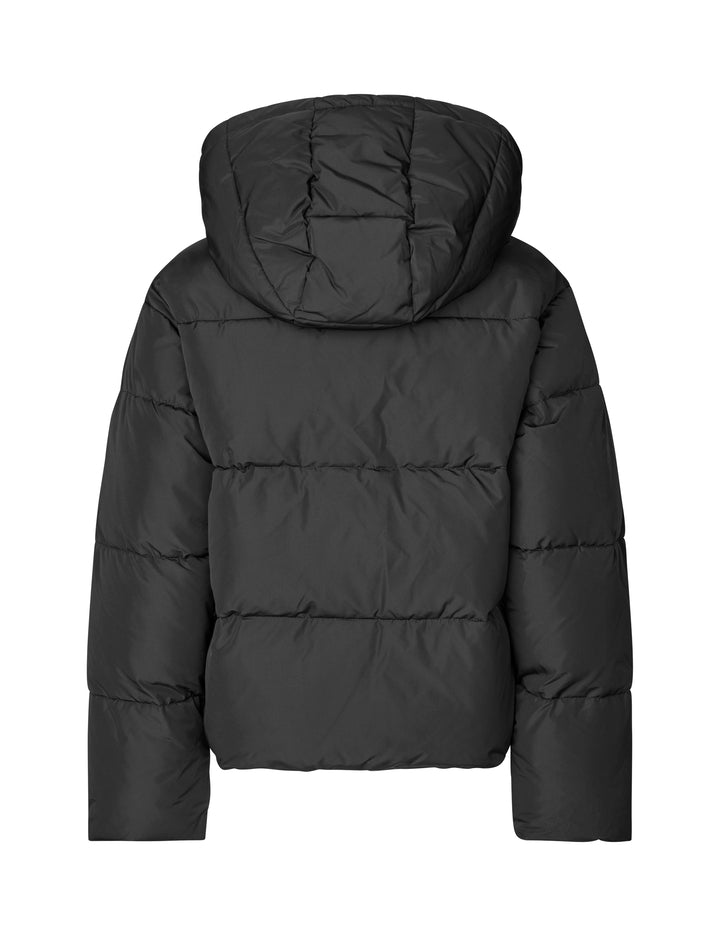 
                  
                    30059731 MBYM JACKET MISHAL-M SANDRINA T29 JAVA
                  
                