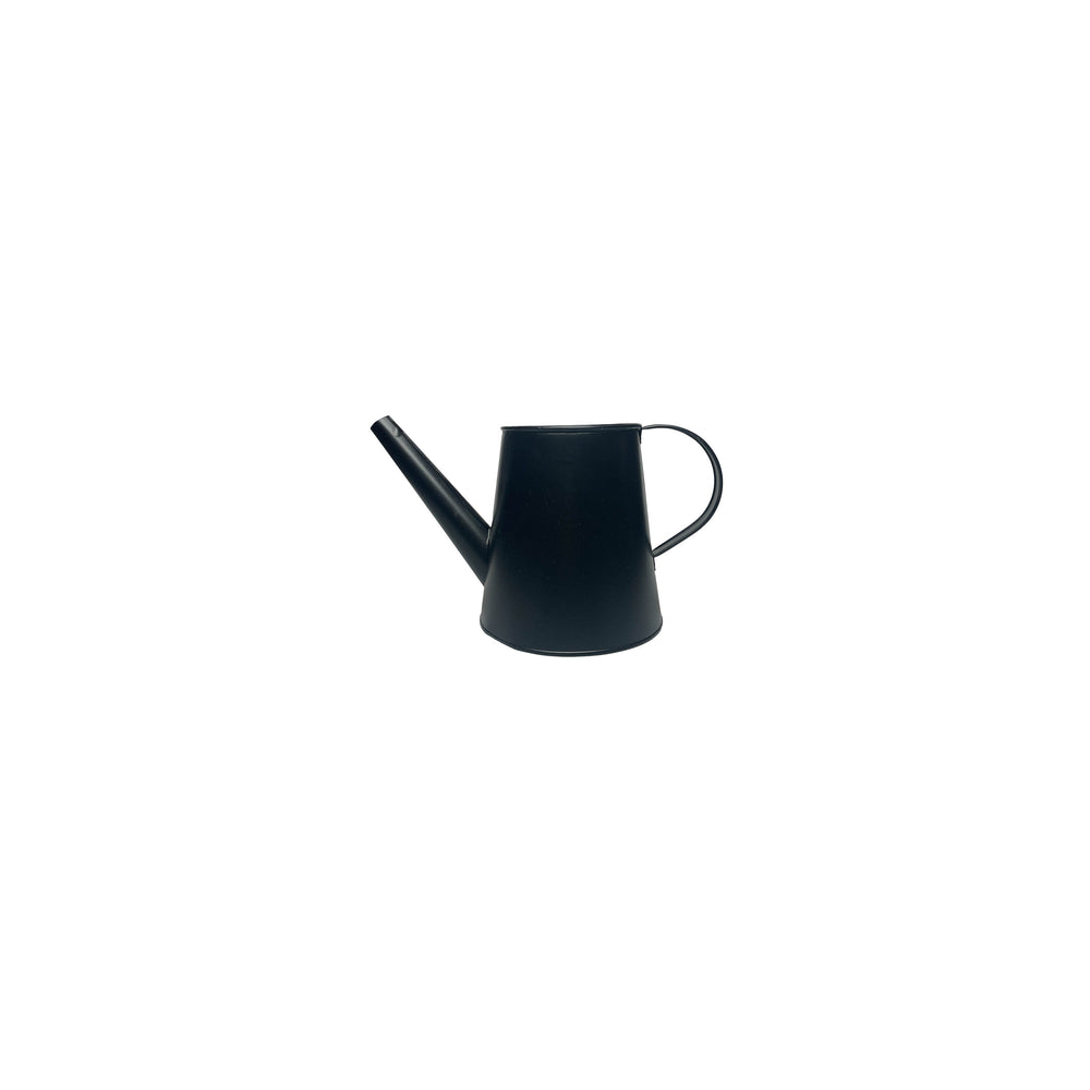 BM6-WATERING CAN