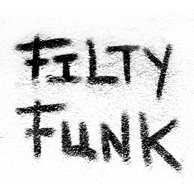 
                  
                    212.05.03.1 95% co 5% ea 501 FILTYFUNK BLACK
                  
                